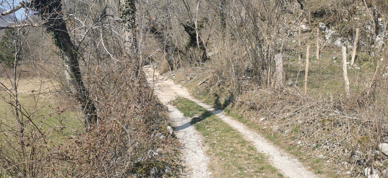 Ladra - Ladra slika 6