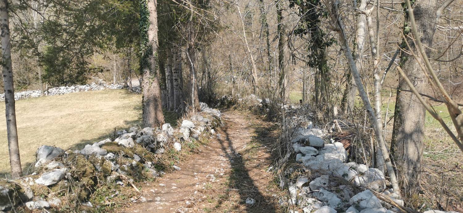 Ladra - Ladra slika 8