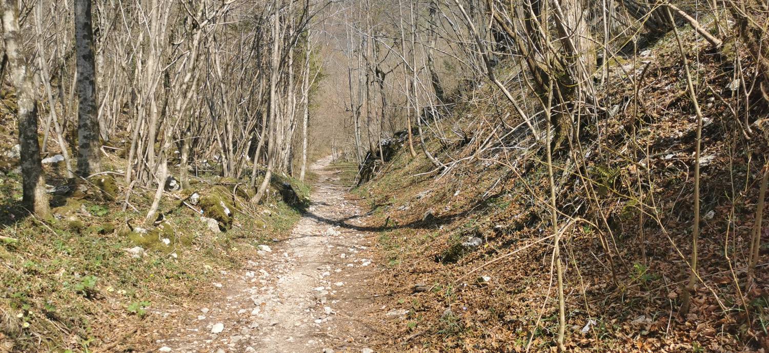 Ladra - Ladra slika 9