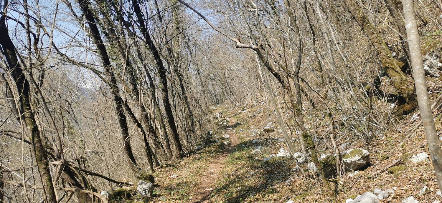 Ladra - Ladra slika 19