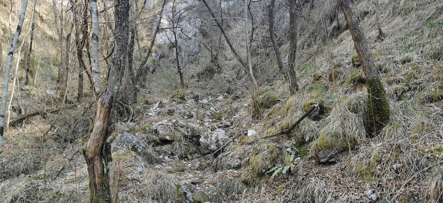 Ladra - Ladra slika 22
