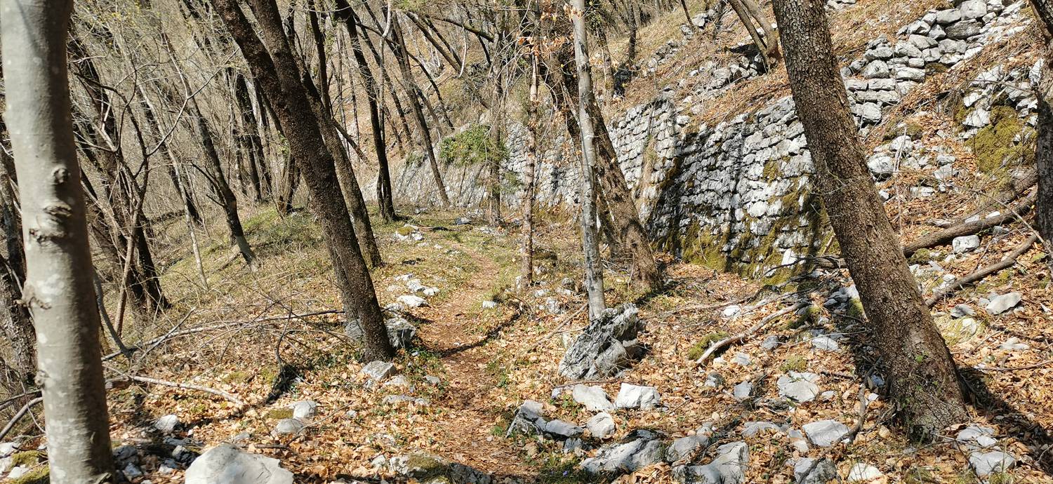 Ladra - Ladra slika 27