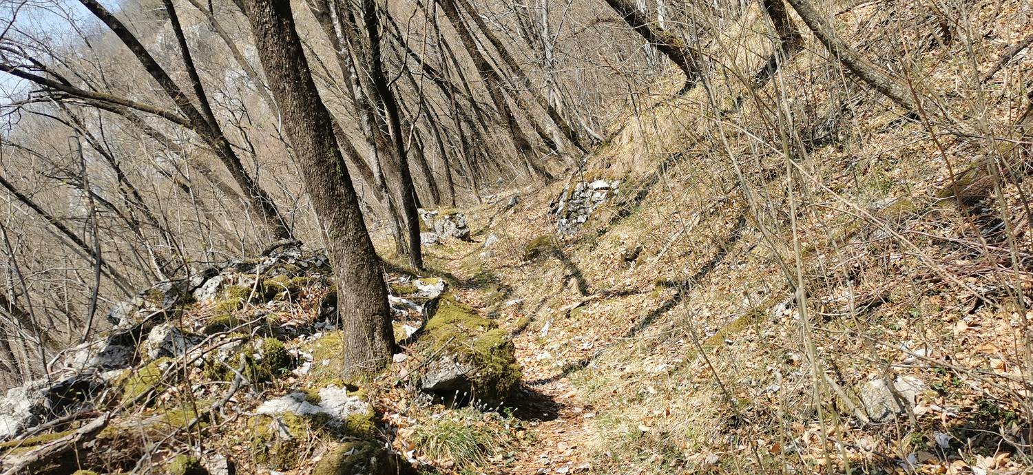 Ladra - Ladra slika 29