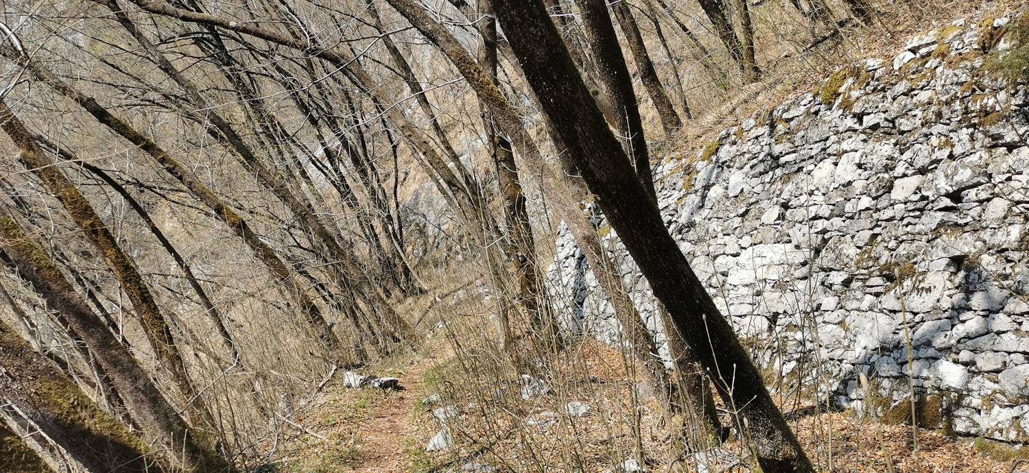 Ladra - Ladra slika 30