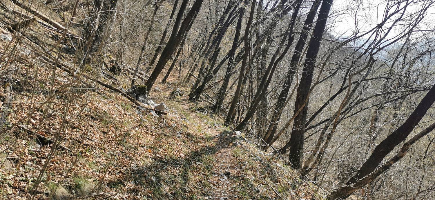 Ladra - Ladra slika 31