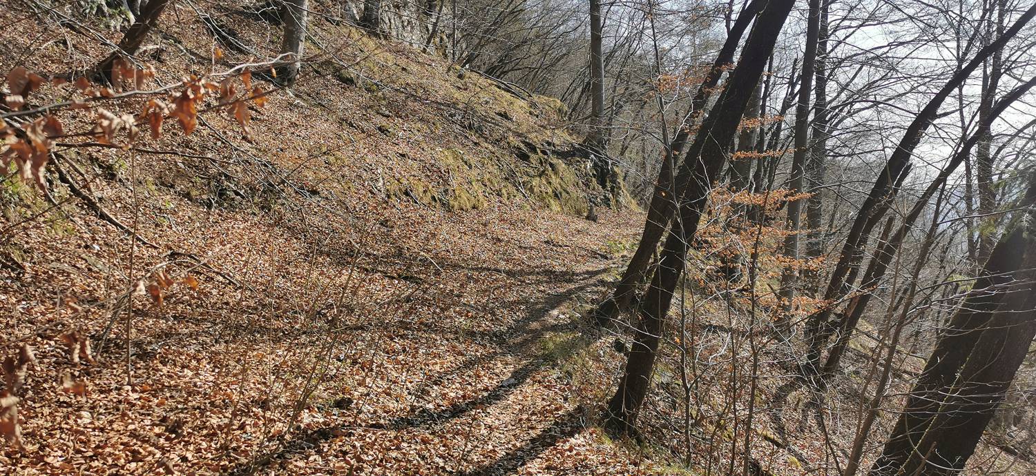 Ladra - Ladra slika 38