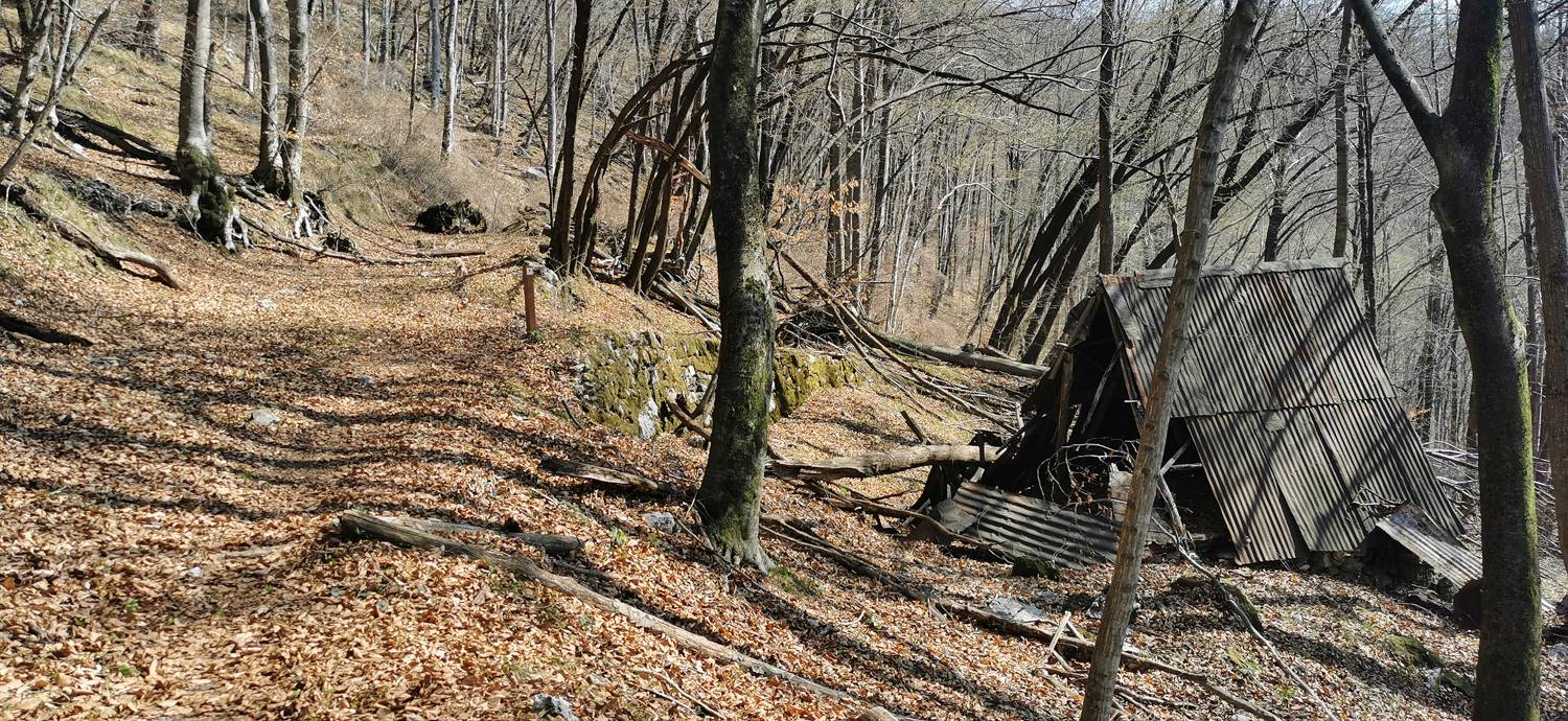 Ladra - Ladra slika 41