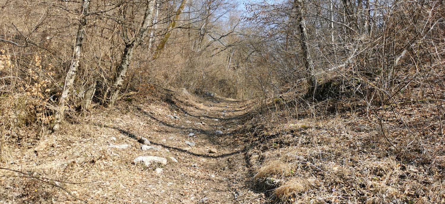 Ladra - Ladra slika 49