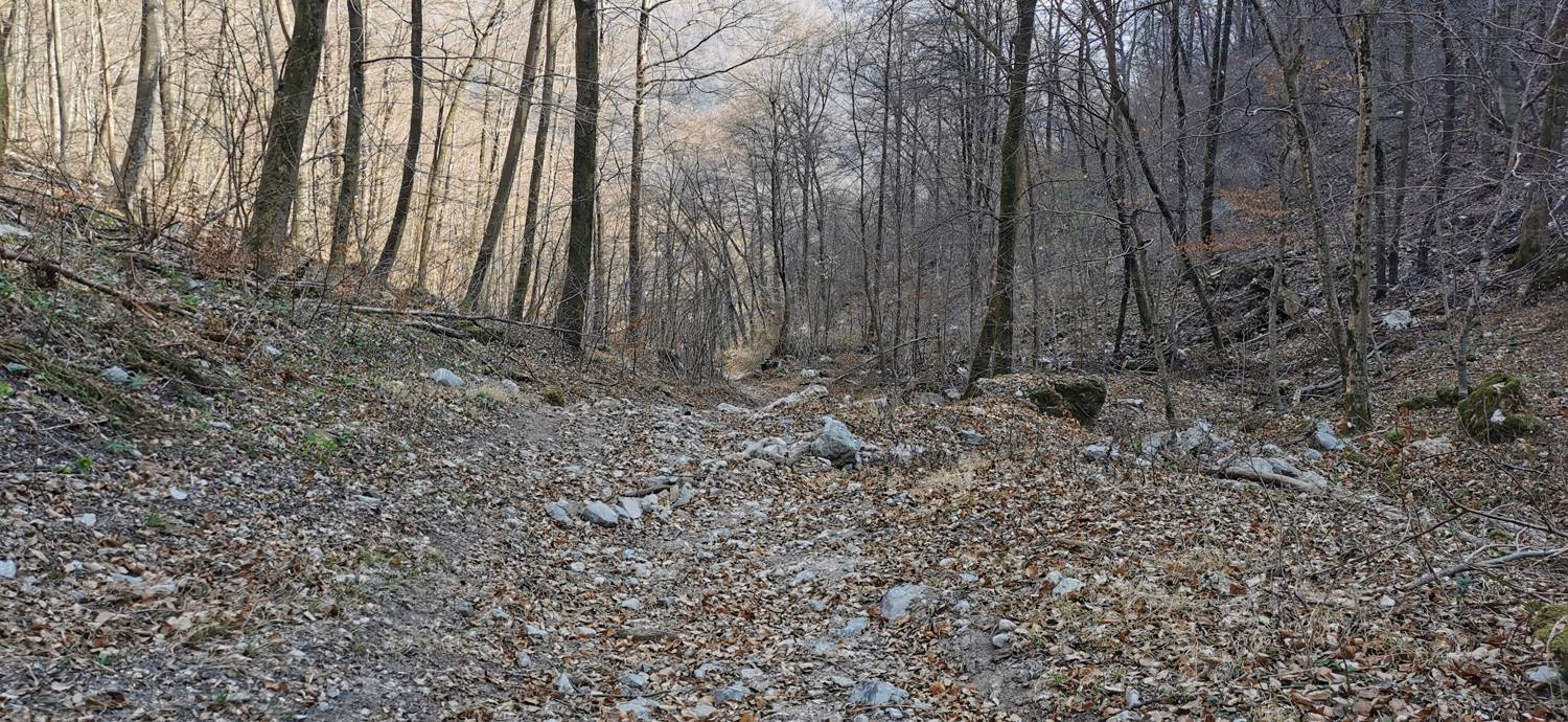 Ladra - Ladra slika 53