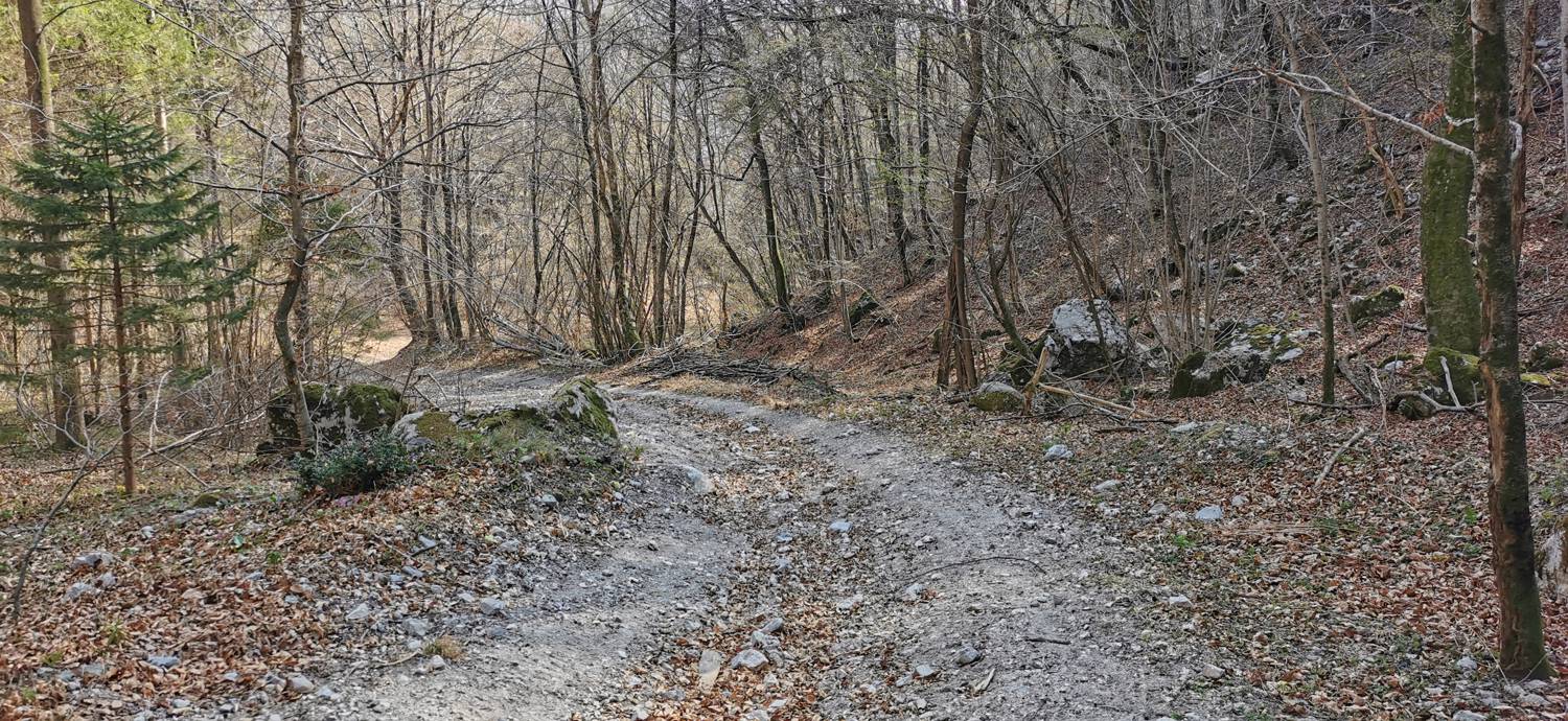 Ladra - Ladra slika 55
