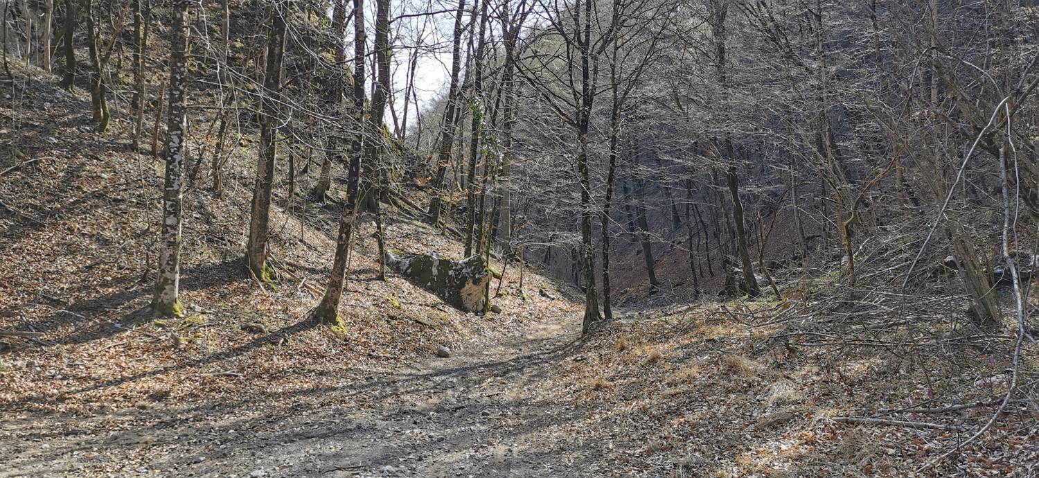 Ladra - Ladra slika 57