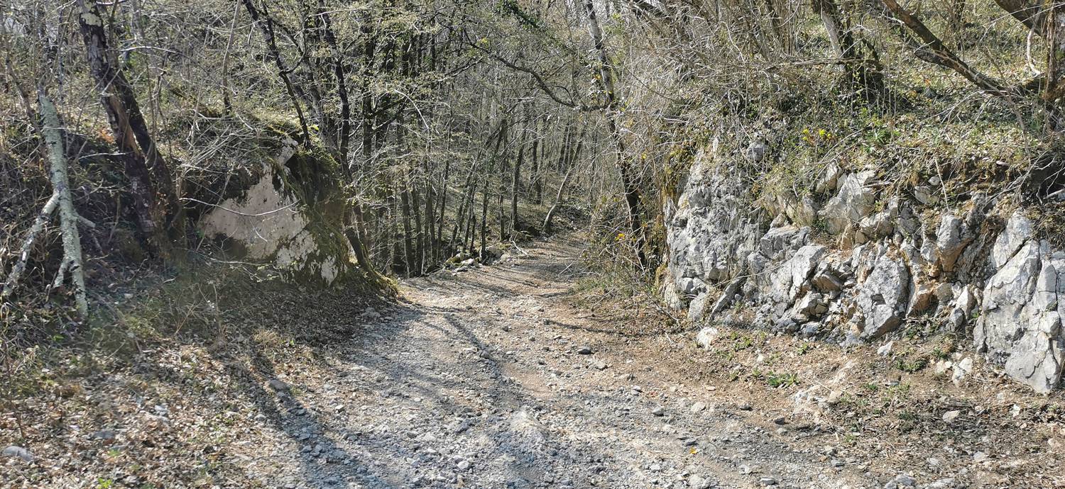 Ladra - Ladra slika 61