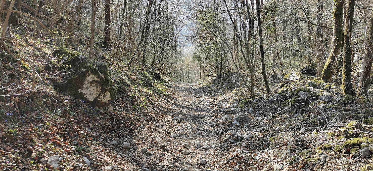 Ladra - Ladra slika 62