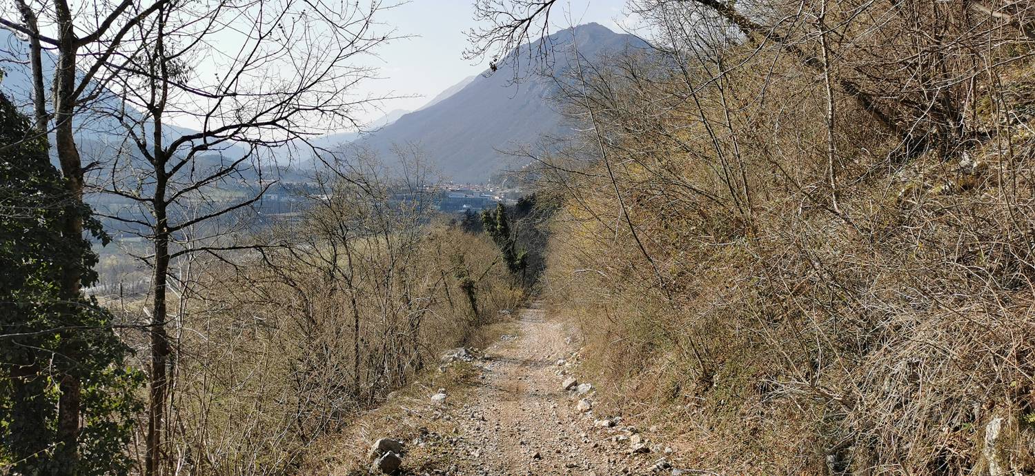 Ladra - Ladra slika 64