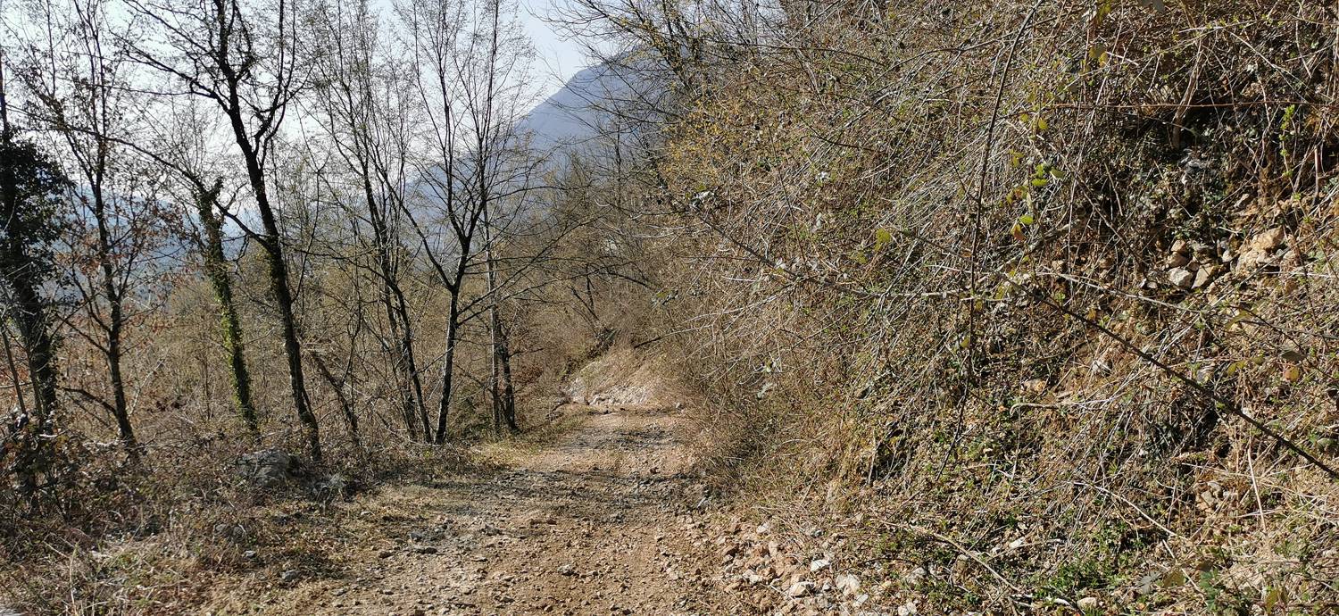 Ladra - Ladra slika 65