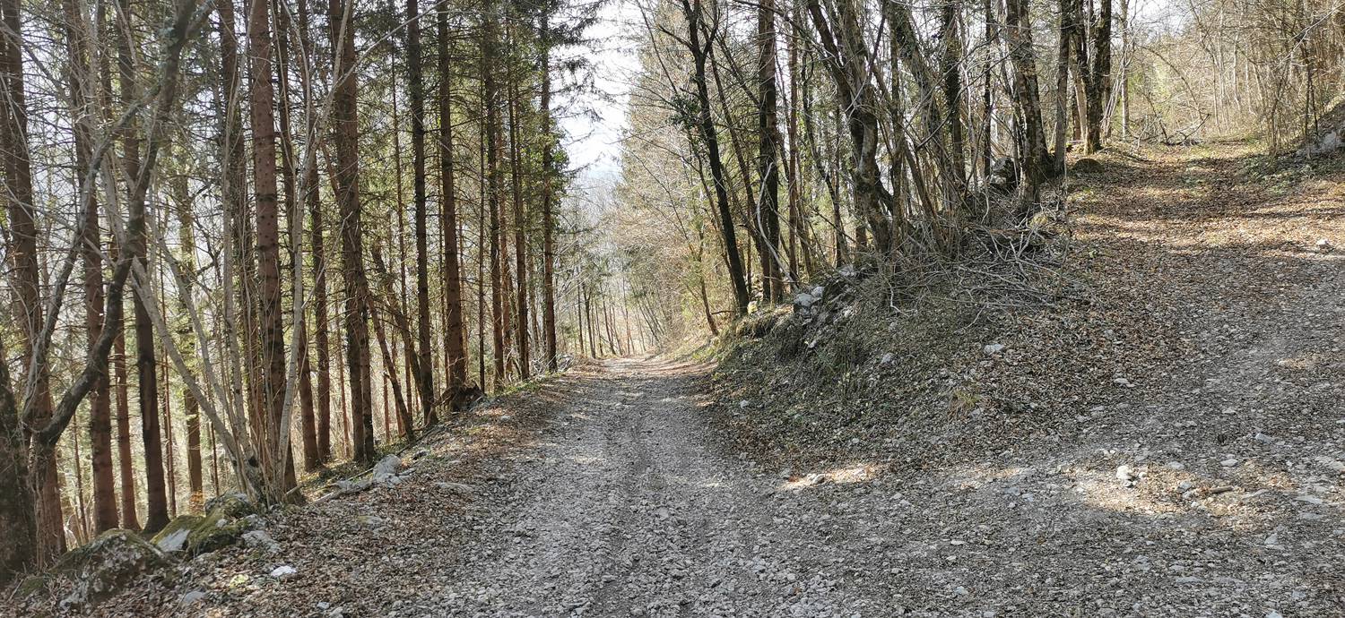 Ladra - Ladra slika 66