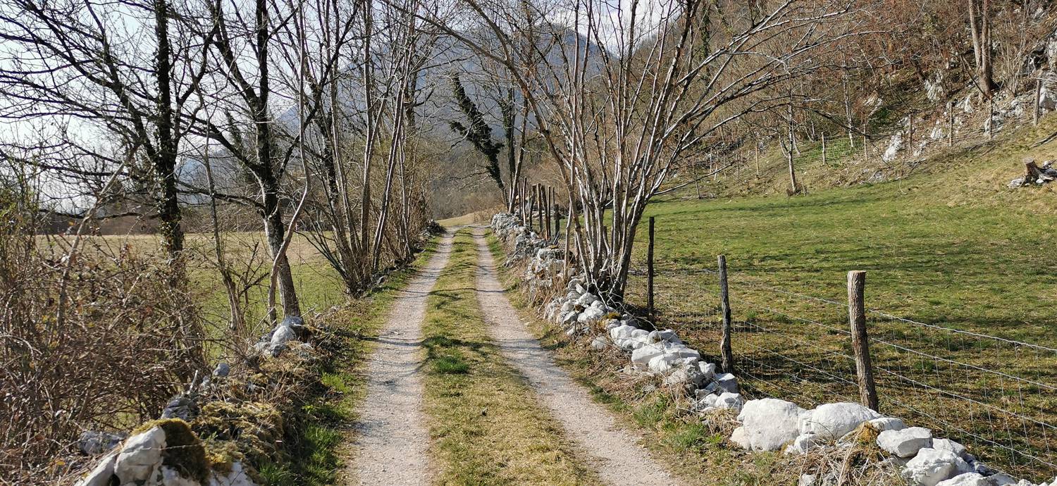 Ladra - Ladra slika 74