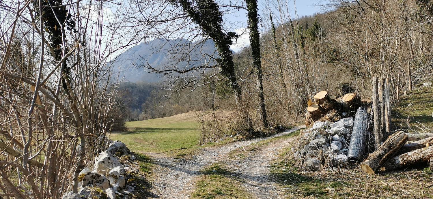 Ladra - Ladra slika 75