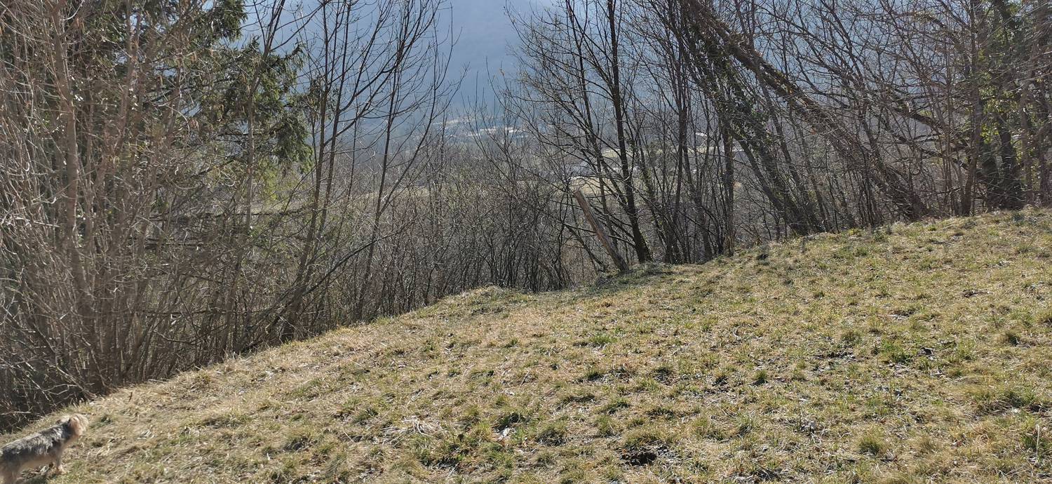 Ladra - Ladra slika 77