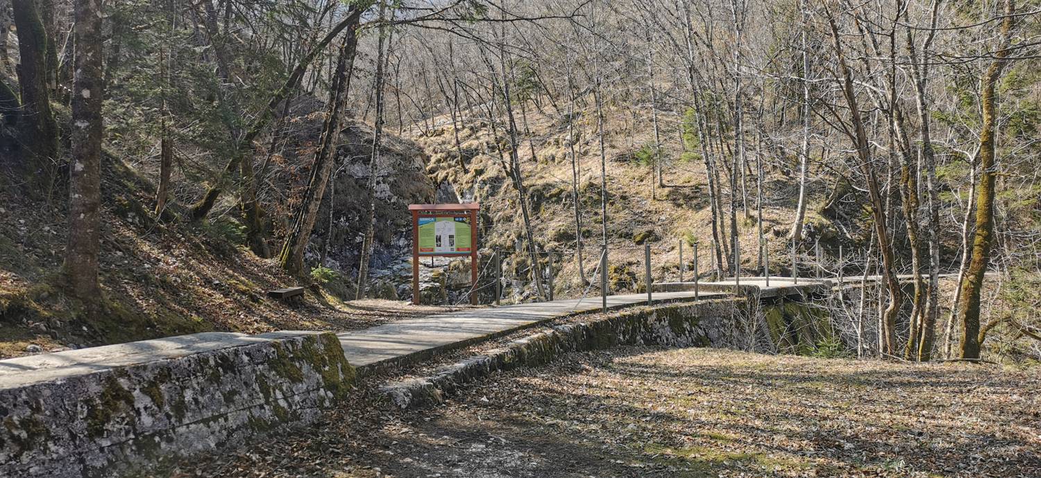 Plužna - Razgledna točka Rajoview slika 6