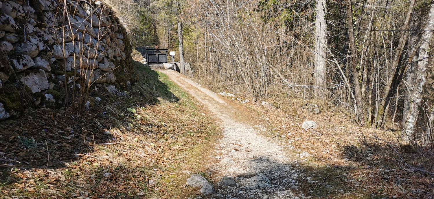 Plužna - Razgledna točka Rajoview slika 8
