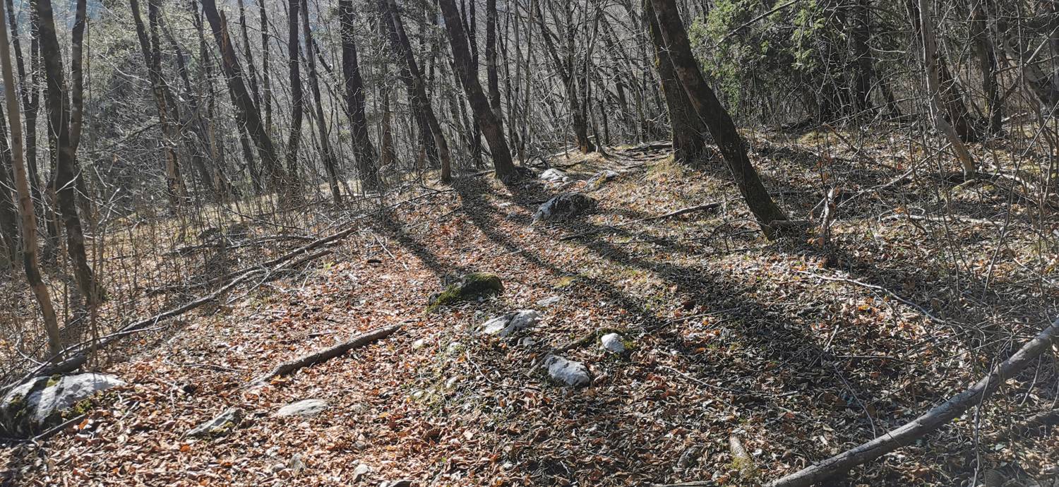 Plužna - Razgledna točka Rajoview slika 18