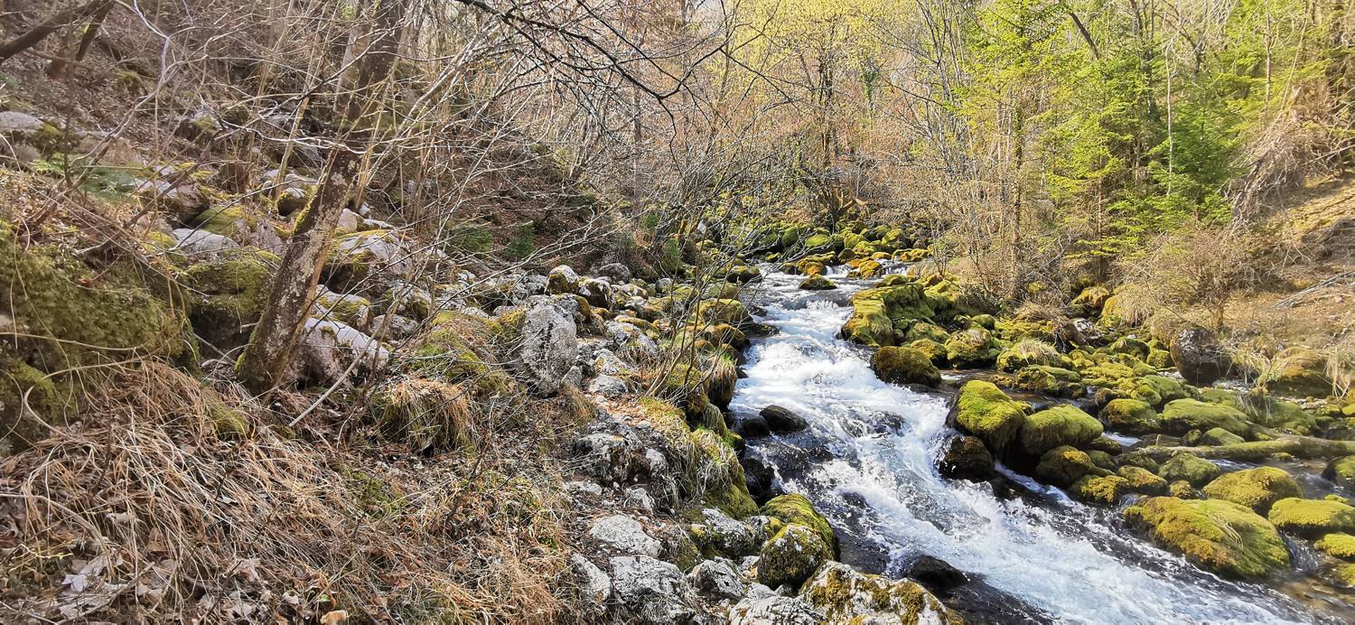 Plužna - Izvir Glijuna - main photo