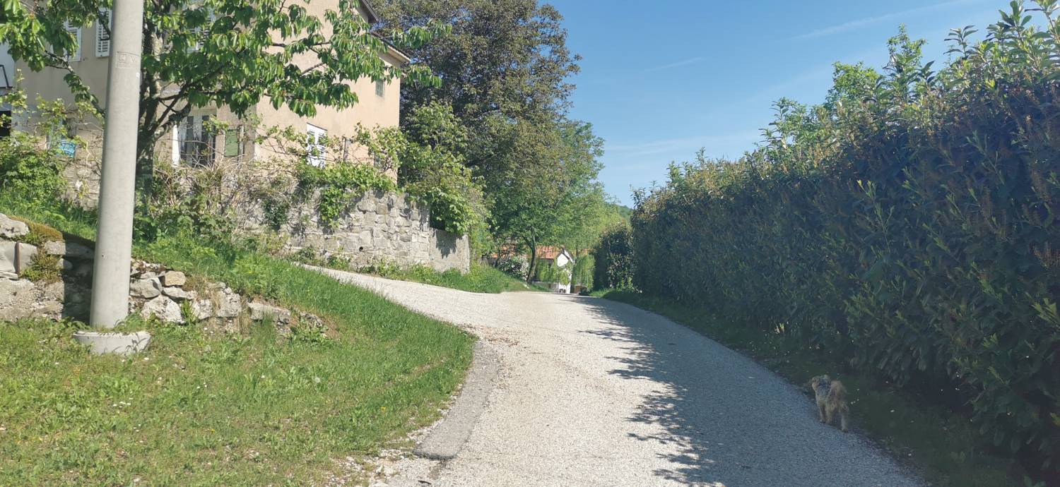Dragovica - Rebro slika 2