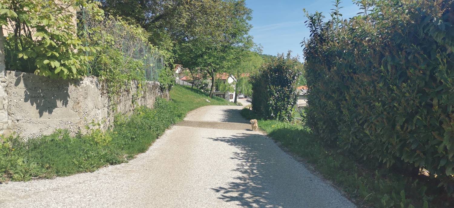 Dragovica - Rebro slika 3