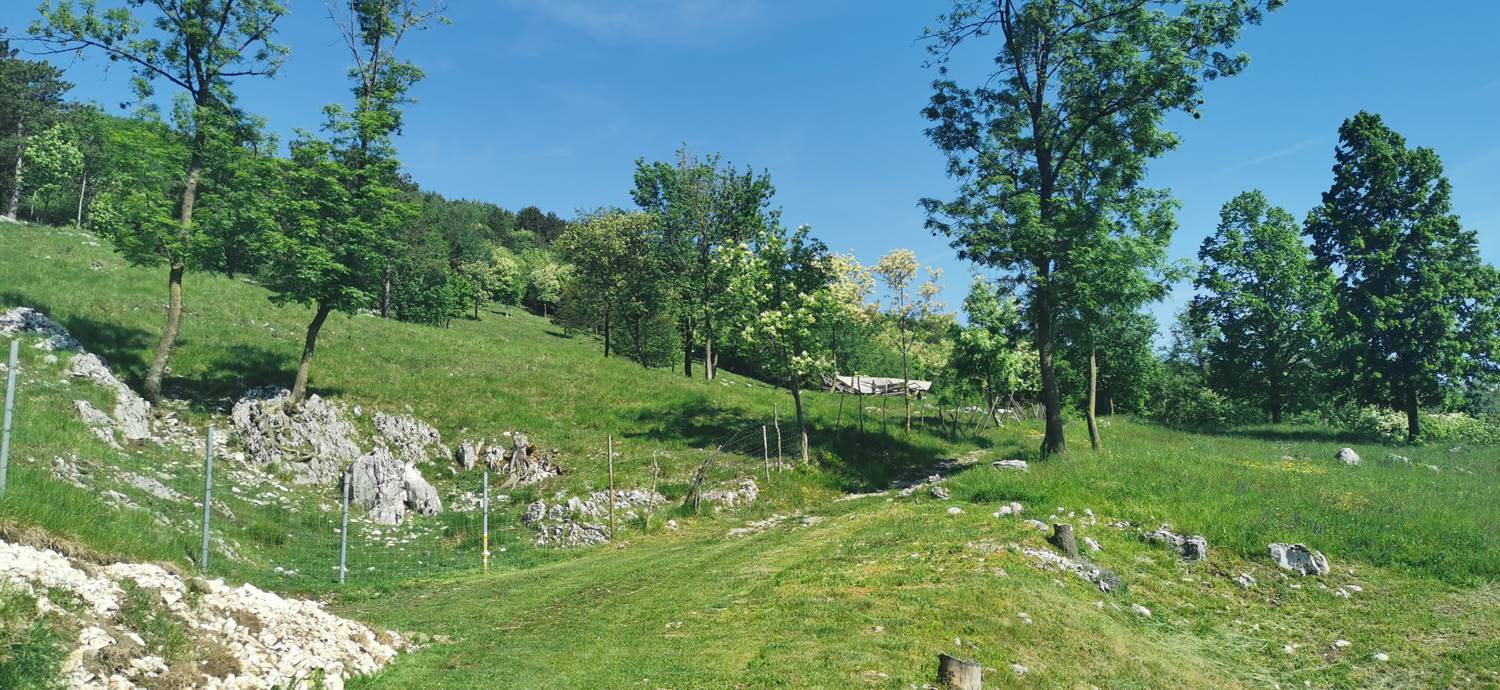 Dragovica - Rebro slika 7