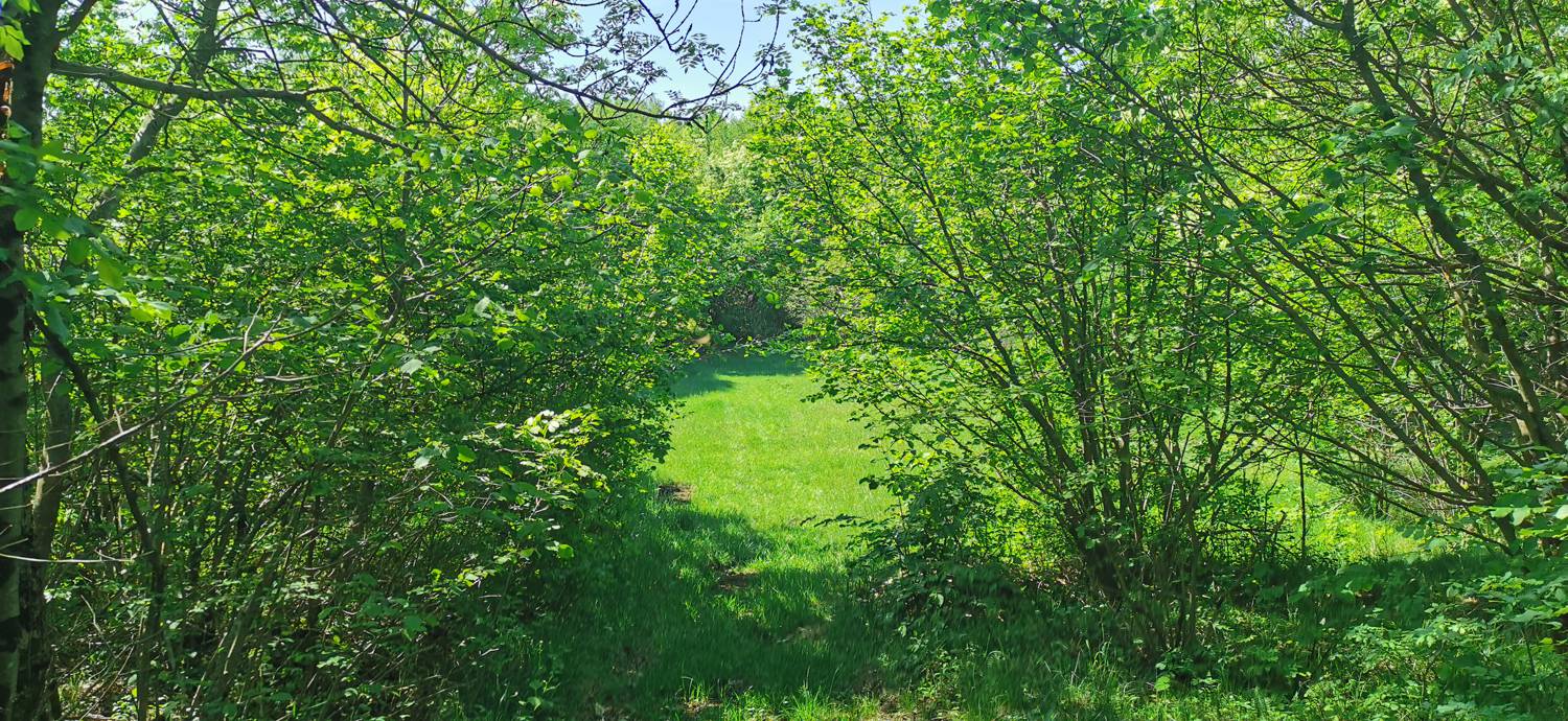 Dragovica - Rebro slika 19