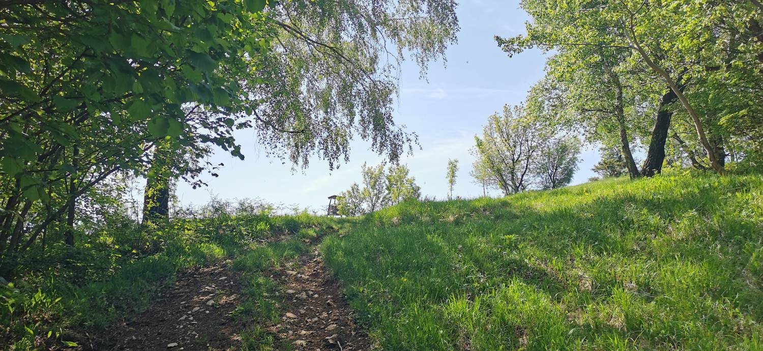 Dragovica - Rebro slika 24
