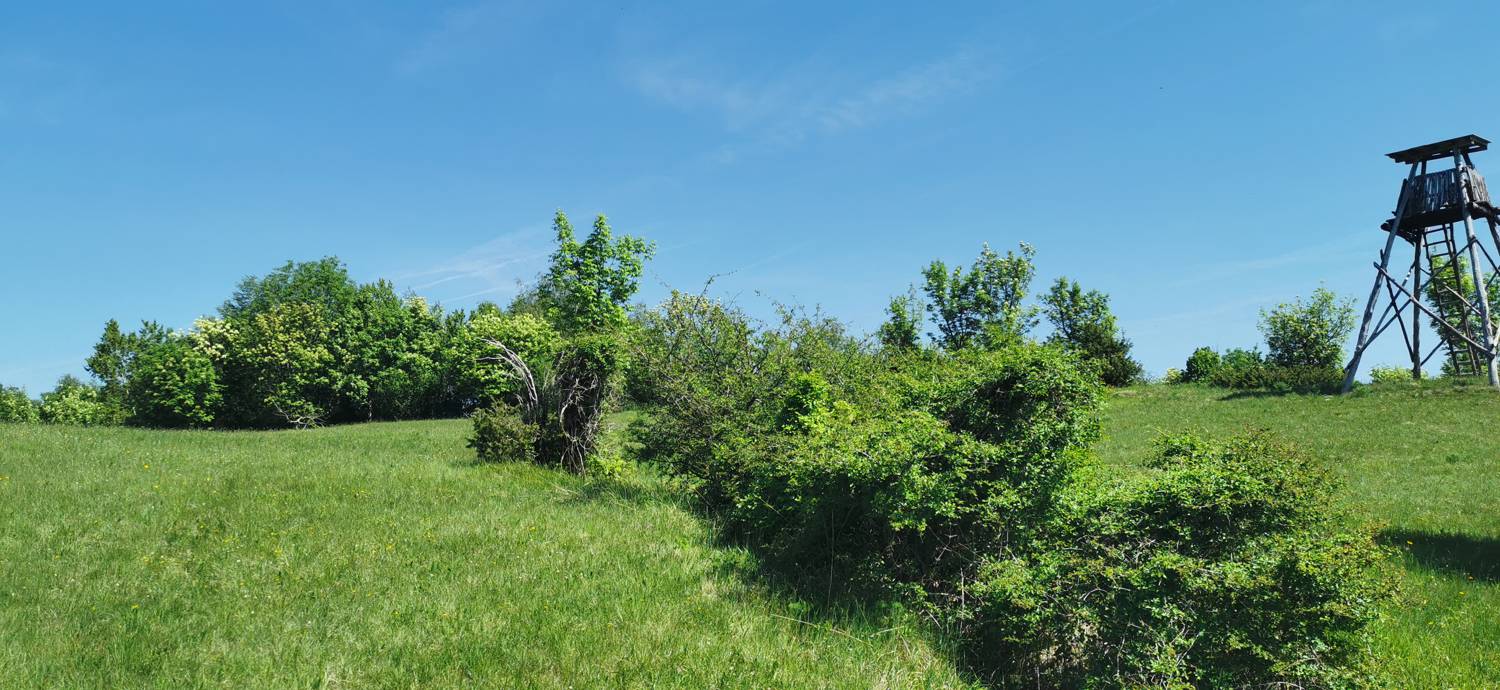 Dragovica - Rebro slika 24