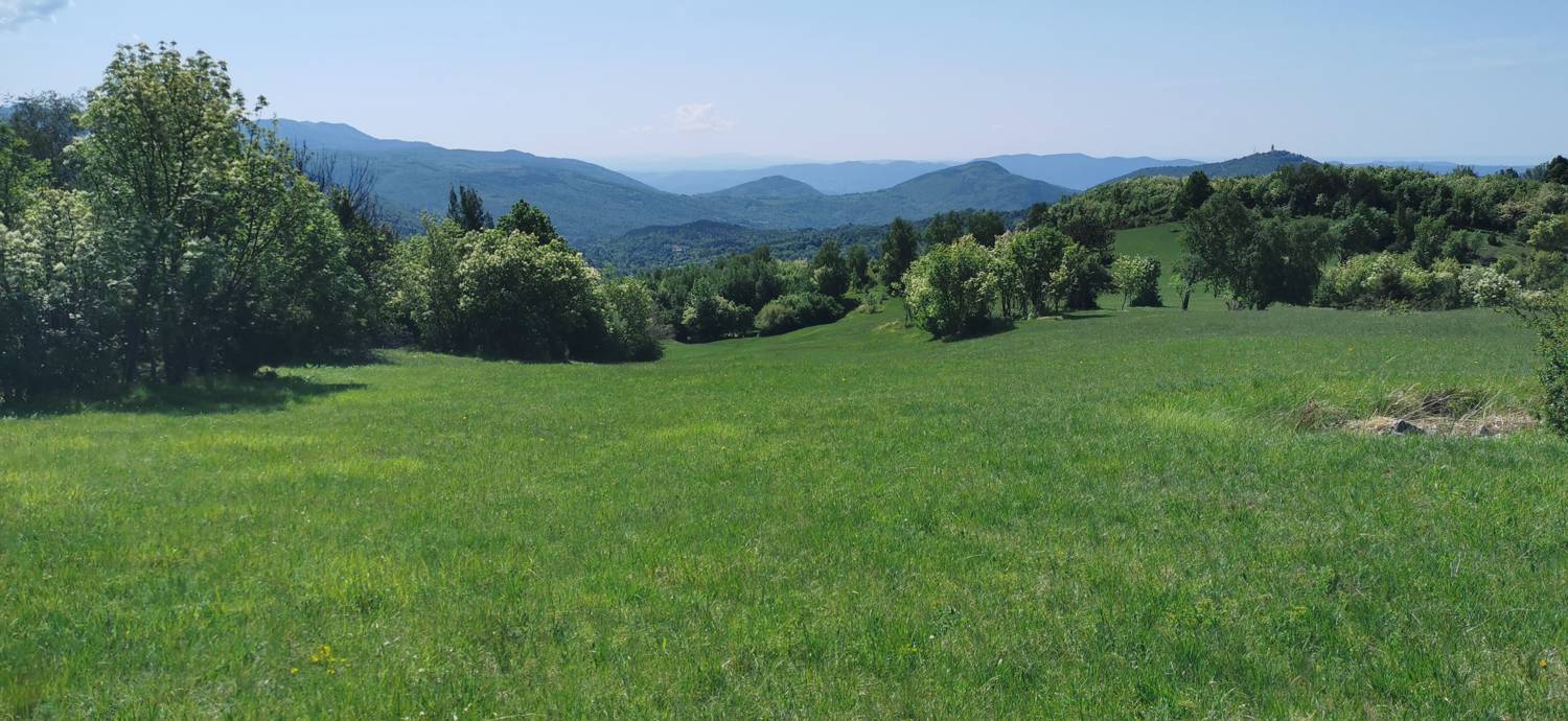 Dragovica - Dragovica slika 30
