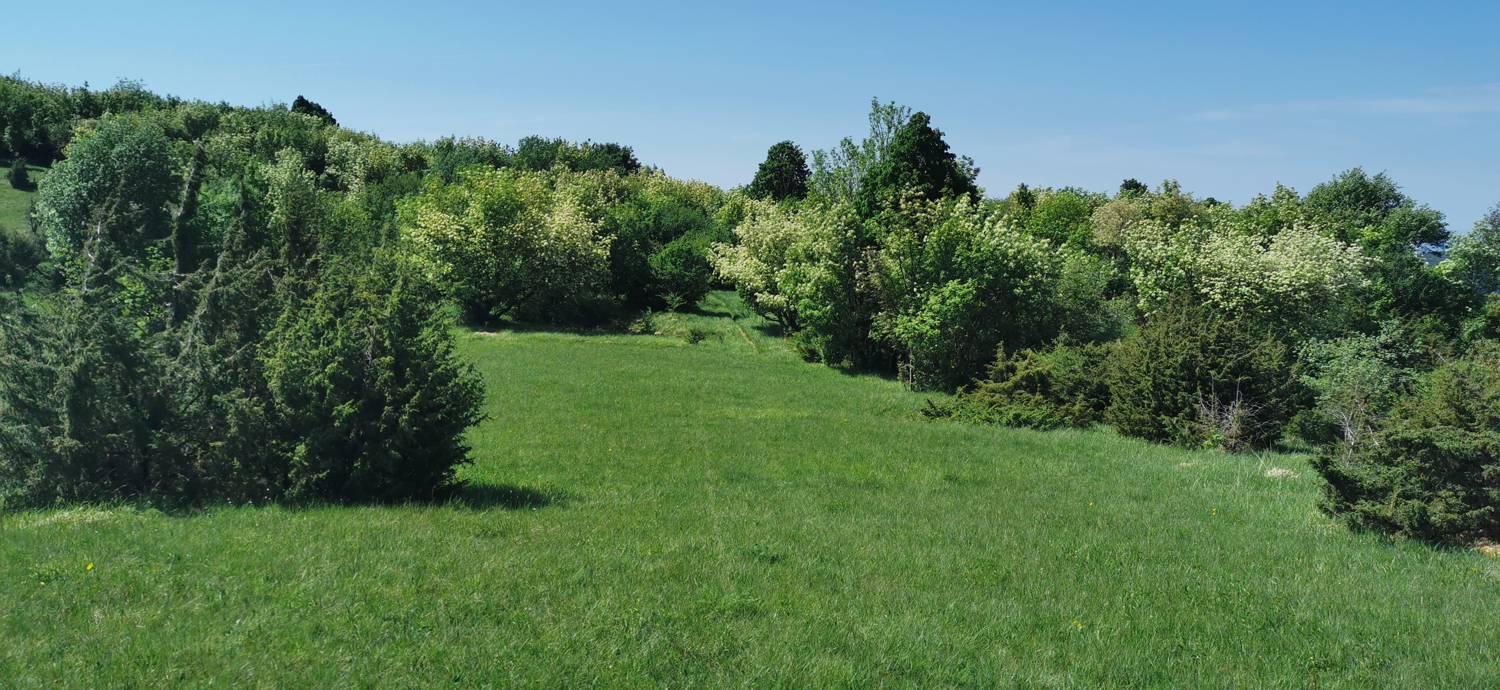 Dragovica - Dragovica slika 32