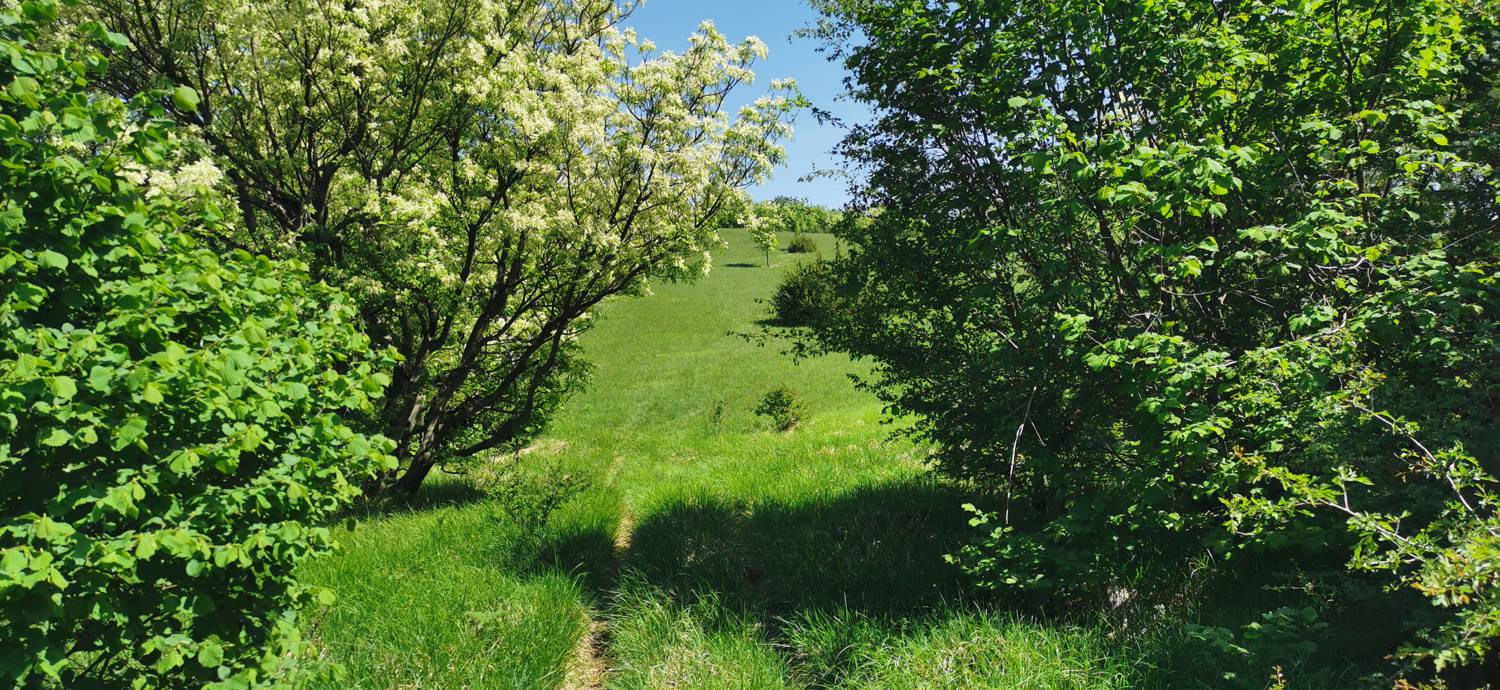 Dragovica - Rebro slika 19