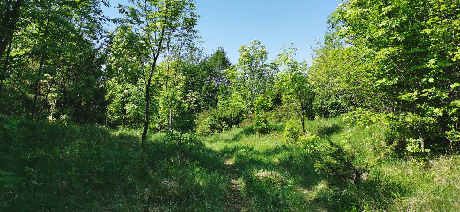 Dragovica - Dragovica slika 36