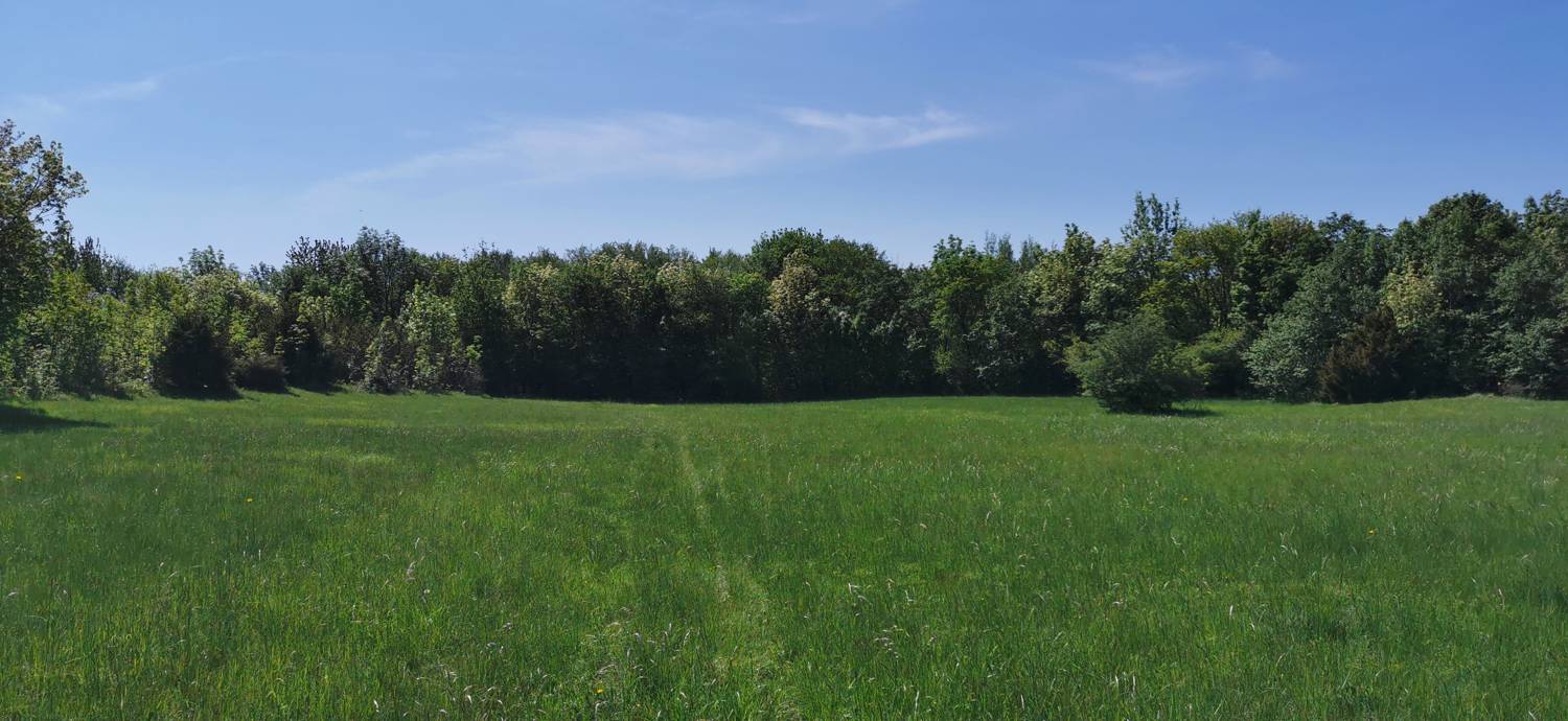Dragovica - Dragovica slika 38