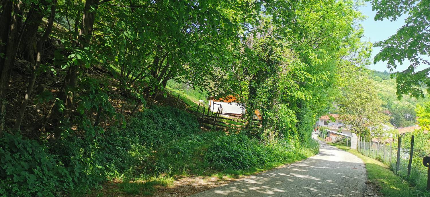 Dragovica - Dragovica slika 49