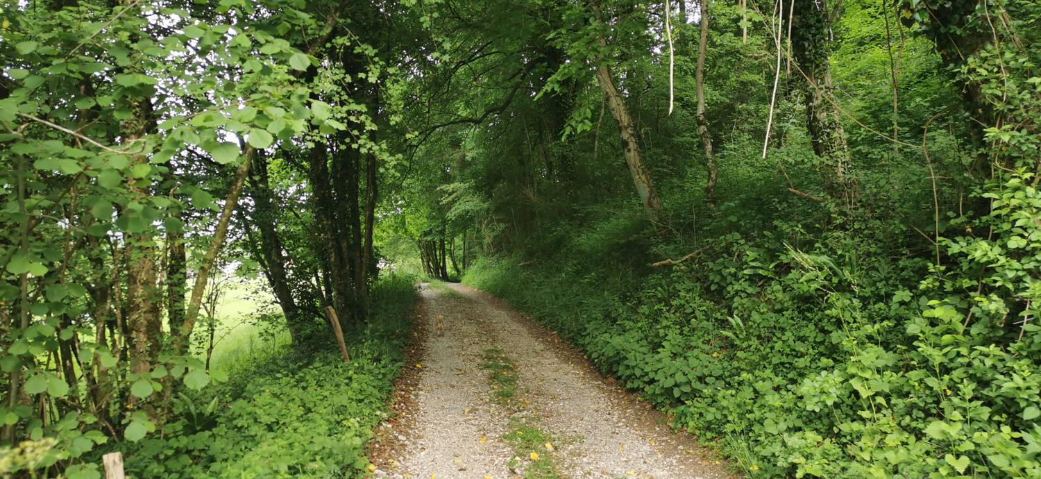 Kamno - Cerkev Svetega duha Libušnje slika 7