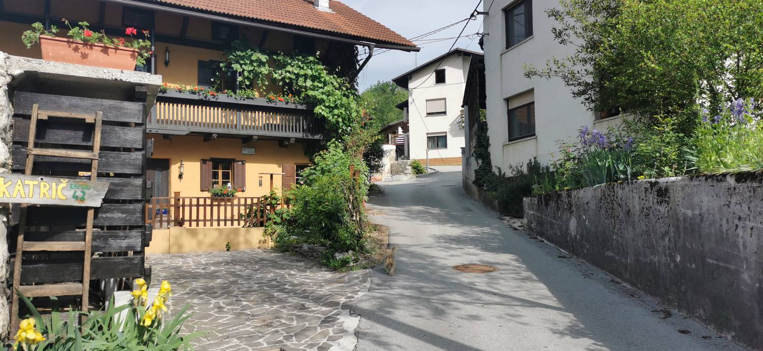 Kamno - Cerkev Svetega duha Libušnje slika 19