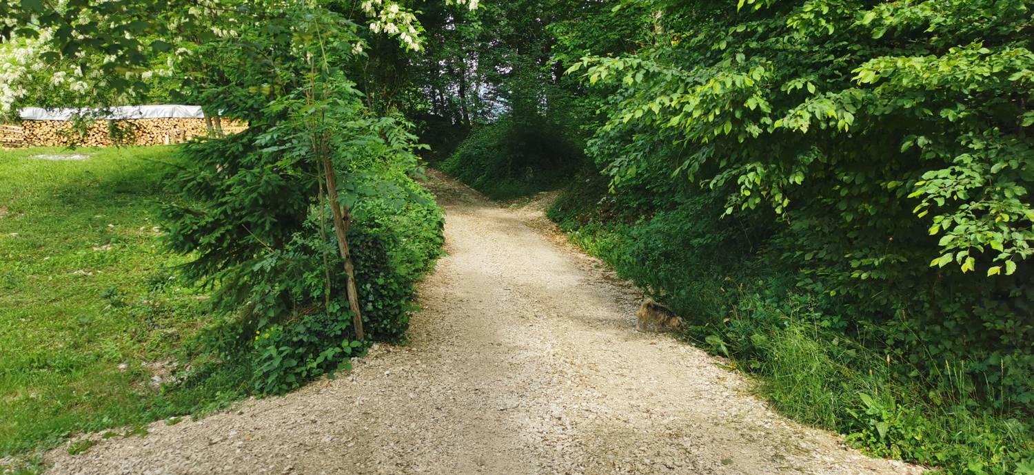 Kamno - Cerkev Svetega duha Libušnje slika 24