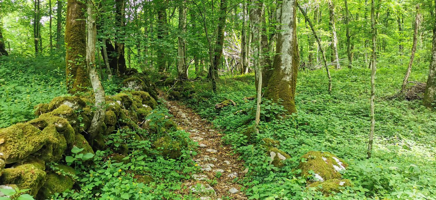 Kamno - Cerkev Svetega duha Libušnje slika 34
