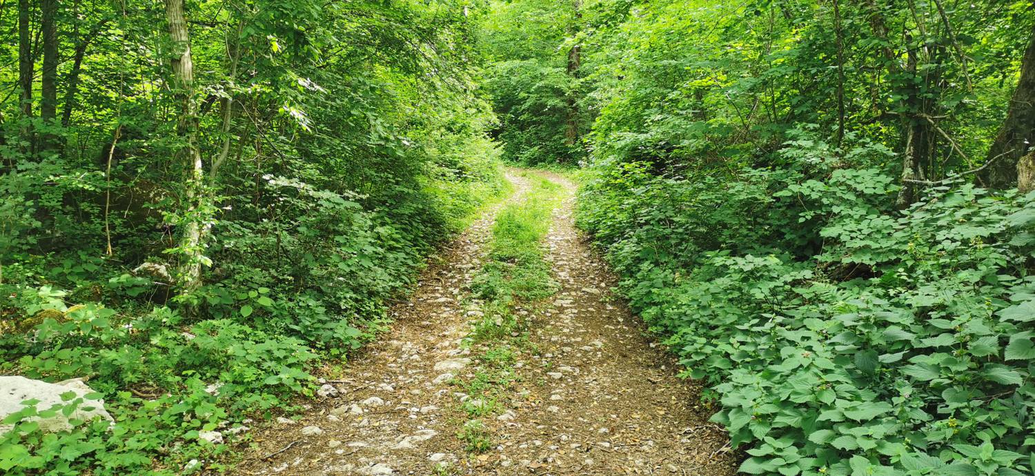 Kamno - Cerkev Svetega duha Libušnje slika 35