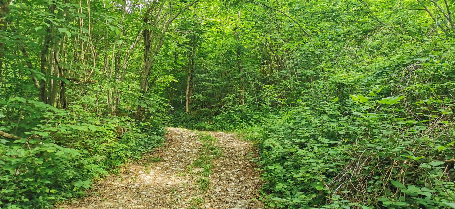 Kamno - Cerkev Svetega duha Libušnje slika 36