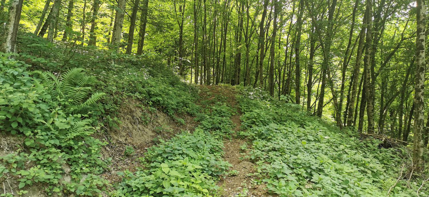 Ladra - Cerkev Svetega duha Libušnje slika 26