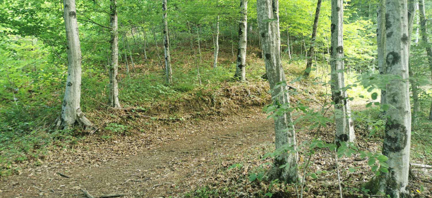 Ladra - Cerkev Svetega duha Libušnje slika 24