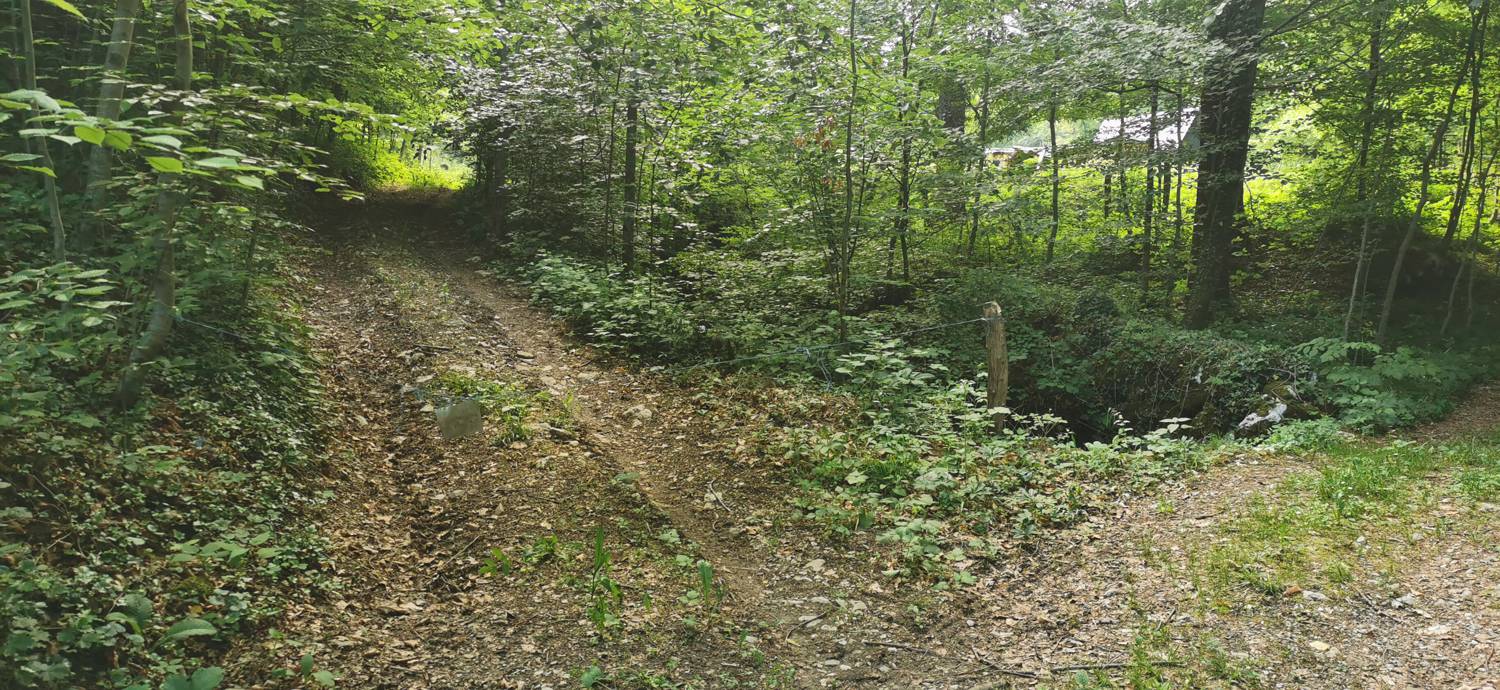 Ladra - Cerkev Svetega duha Libušnje slika 20