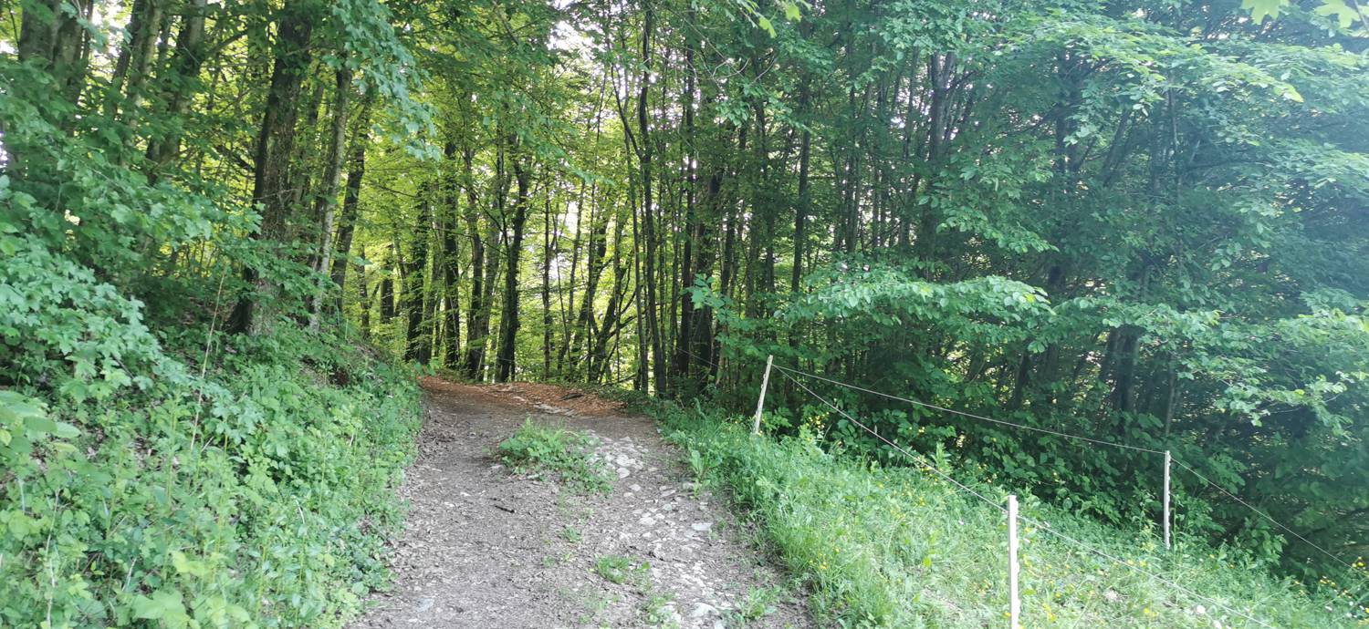 Ladra - Cerkev Svetega duha Libušnje slika 19