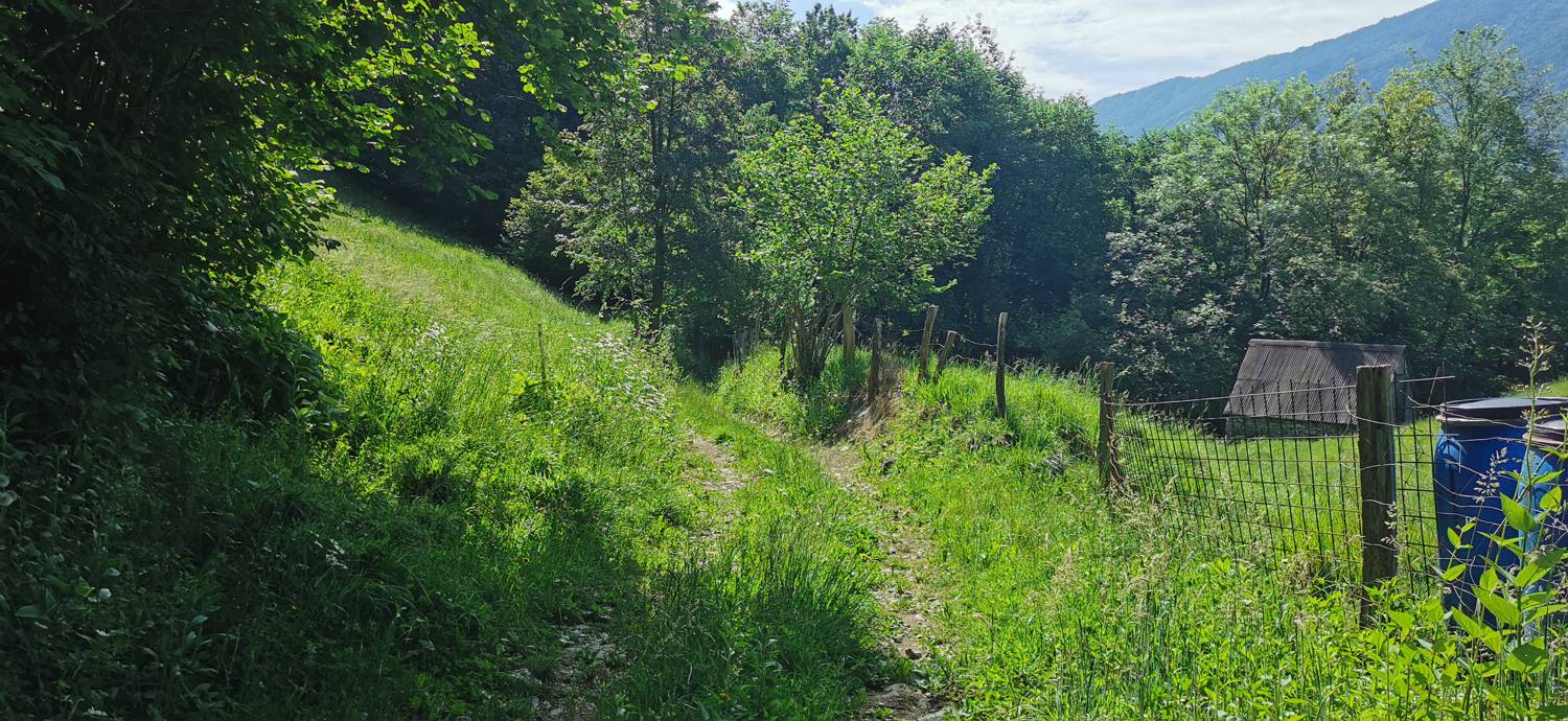 Ladra - Cerkev Svetega duha Libušnje slika 17